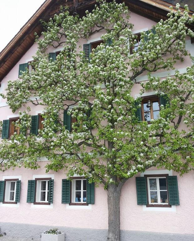 Apartment Luise Hallstatt Habitación foto